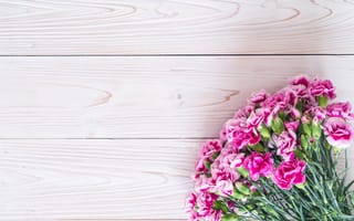 Картинка цветы, flowers, гвоздика, pink, wood, розовые