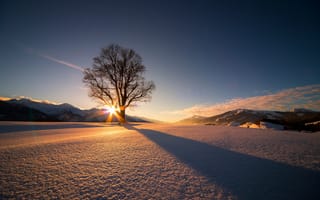 Картинка Австрия, снег, зима, дерево, солнце