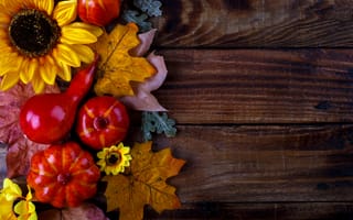 Картинка осень, листья, colorful, maple, доски, клен, leaves, осенние, wood, pumpkin, тыква, autumn