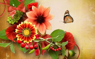 Картинка коллаж, цветы, природа, бабочка, ягоды, желудь
