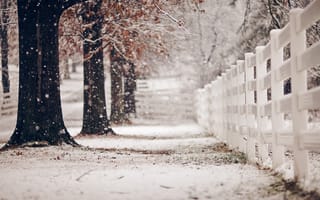 Картинка улица, зима, забор