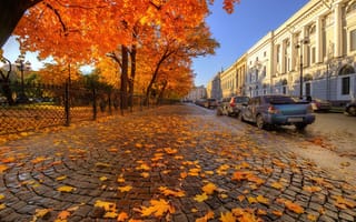 Картинка авто, Санкт-Петербург, Ed Gordeev, улица, Гордеев Эдуард, осень