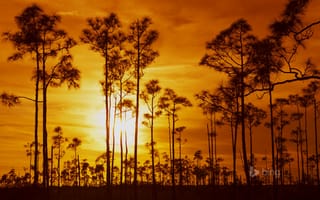 Картинка Everglades National Park, Флорида, облака, закат, небо, США, деревья
