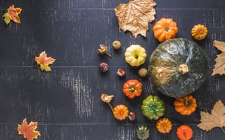 Картинка осень, листья, клен, leaves, autumn, colorful, осенние, тыква, maple, wood, pumpkin, доски