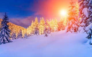 Картинка лес, горы, снег, ели, солнце, тучи, зима