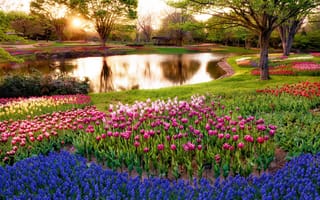 Картинка парк, разноцветные, гиацинты, деревья, беседка, лучи солнца, цветы, тюльпаны, пруд, зелень, трава
