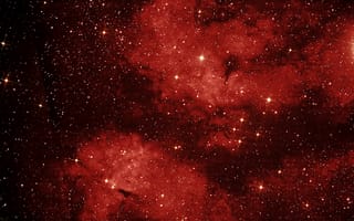 Картинка Лебедь, звёзды, созвездие, LBN 274, туманность, космос