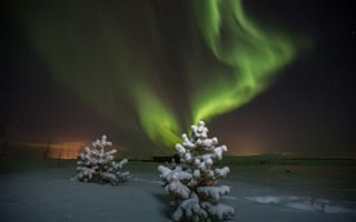 Обои Aurora Borealis, ночь, зима, северное сияние, звезды