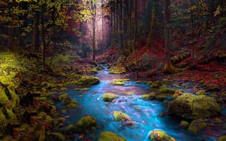 Картинка осень, лес, деревья, Босния, мох, камни, ручей, природа, горы, пейзаж, Mevludin Sejmenovic, река