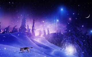 Картинка собака, снежинки, фотошоп, зима, звезды, месяц, овчарка, снег, сугробы, ночь, деревья, лес
