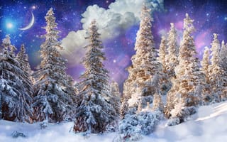 Картинка зима, снег, блики, месяц, фэнтези, лес, деревья, солнце, фотошоп, облака, звезды