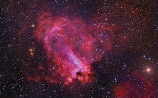 Картинка Лебедь, LBN 274, туманность, звёзды, созвездие, космос