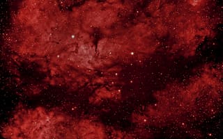 Картинка Бабочка, HaRGB, космос, звёзды, туманность, (IC 1318), созвездие