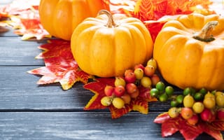 Обои осень, листья, клен, тыква, colorful, maple, leaves, осенние, доски, autumn, pumpkin, wood