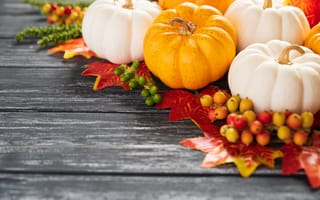 Обои осень, листья, осенние, maple, клен, colorful, pumpkin, autumn, wood, leaves, доски, тыква