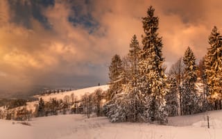 Картинка Закопане, Польша, зима, снег