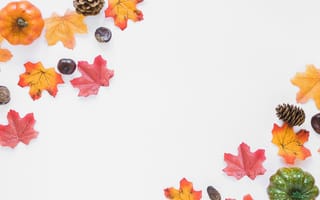 Картинка осень, листья, colorful, клен, wood, доски, тыква