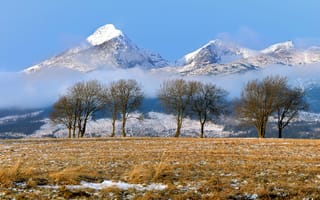 Картинка Словакия, горы, зима, Татры