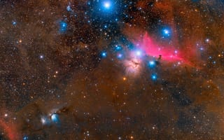 Картинка Orion Molecular Cloud, звёзды, россыпь