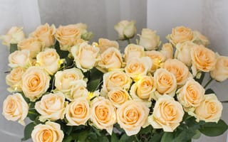Картинка цветы, flowers, розы, yellow, желтые, roses