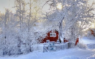 Картинка зима, природа, снег, дом, деревья