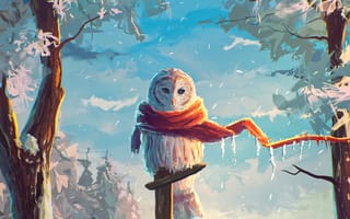 Картинка сова, зима, арт, снег, птица