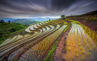 Картинка Таиланд, склоны, рисовые поля, небо, выдержка, вода, ростки