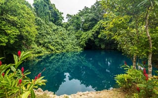 Картинка зелень, деревья, кусты, цветы, парк, пруд, тропики, Vanuatu
