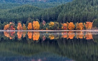 Картинка осень, берег, Loch Morlich, лес, отражение, деревья, горы, вода, озеро, Шотландия