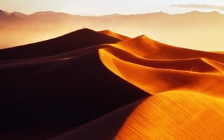 Картинка пустыня, человек, песок, утро, свет, дюны, золотые пески, барханы