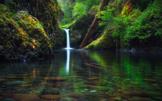 Картинка США, Орегон, река, водопад, осень, Сентябрь, штат, лес