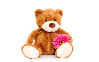Картинка Teddy, cute, игрушка, bear, плюшевый, цветок, toy, мишка