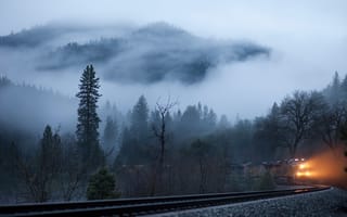 Картинка лес, туман, жд, поезд, утро