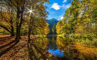 Картинка Autumn Sun, осень, лес, речка, солнце
