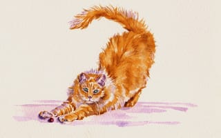 Картинка кот, потягивается, акварель, кошка