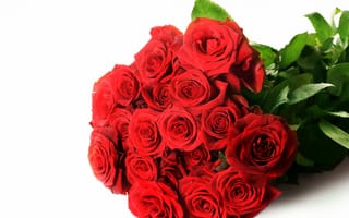 Картинка букет, розы, цветы, красный