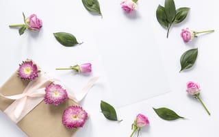 Картинка цветы, бутоны, розовые, розы, pink, flowers