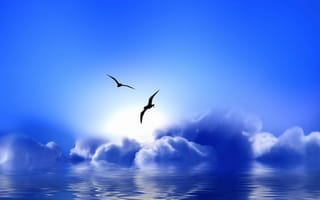 Картинка Blue Paradise, чайки, облака