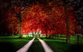 Картинка дом, дорога, осень, листья, деревья, двор, ворота, трава