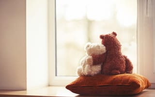 Картинка Teddy, друзья, окно, toy, игрушка, подушка, love, cute, медведь, friends, bear, пара, любовь, мишка, window, couple