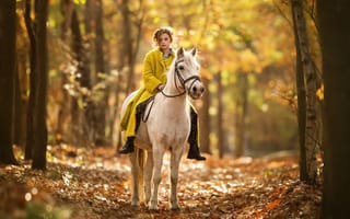 Картинка осень, природа, девочка, конь