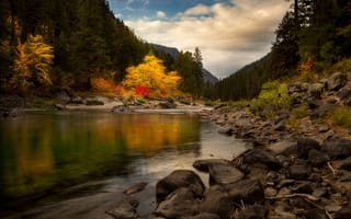 Картинка осень, река, лес, Doug Shearer, камни, холмы