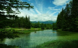 Картинка Италия, зелень, горы, лес, трава, озеро, Toblach Lake, деревья