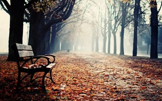 Картинка скамья, парк, осень