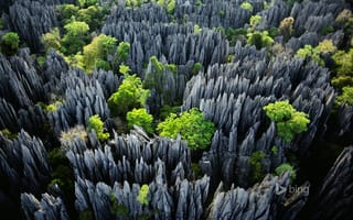 Картинка Tsingy de Bemaraha National Park, скалы, деревья, Мадагаскар