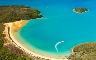 Картинка abel tasman, boat, national park, coast, beach, ocean, new zealand