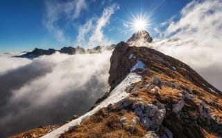 Картинка горы, собака, утро