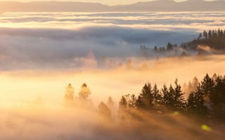 Картинка утро, горы, туман