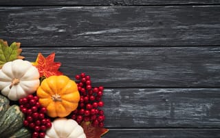 Обои осень, pumpkin, доски, colorful, leaves, листья, autumn, осенние, тыква, клен, maple, wood