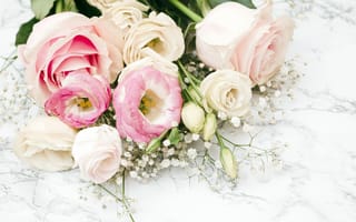 Картинка цветы, розы, eustoma, roses, flowers, pink, эустома